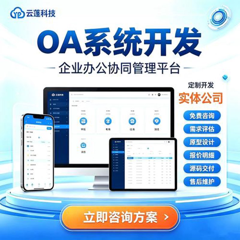 东方市软件开发：科技的春风温暖创业路